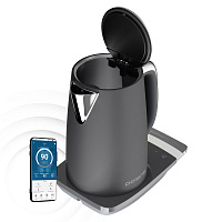Чайник Polaris PWK 1755CAD WIFI IQ Home Grey