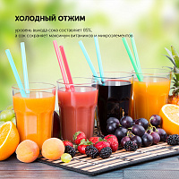 Соковыжималка шнековая Polaris PSJ 0601